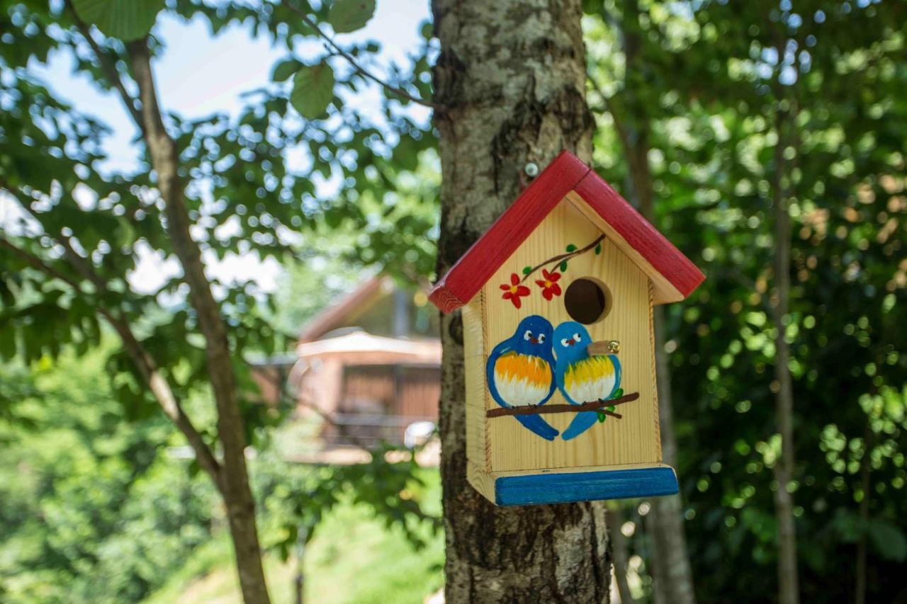 Villa Woodpecker ვუდფექერი Batumi Exterior foto