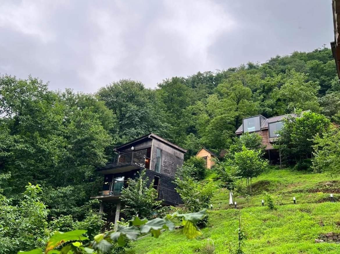 Villa Woodpecker ვუდფექერი Batumi Exterior foto